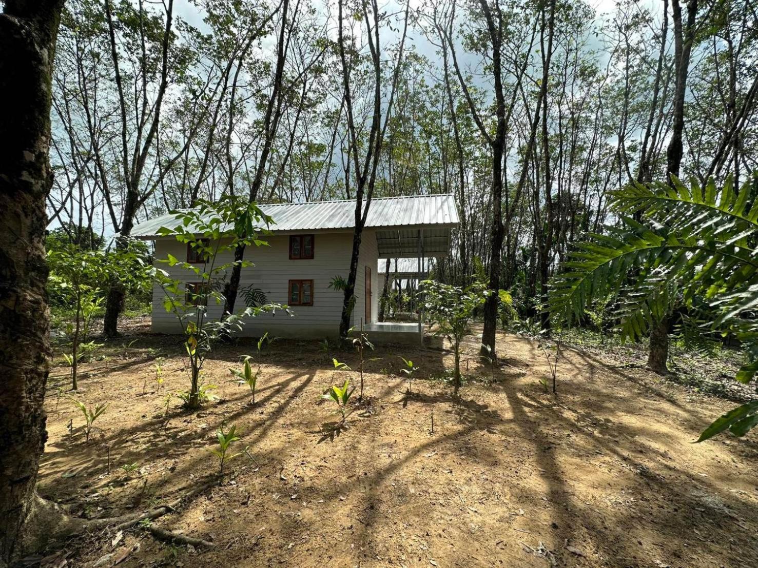 Rabbit Bungalow Koh Phayam Extérieur photo